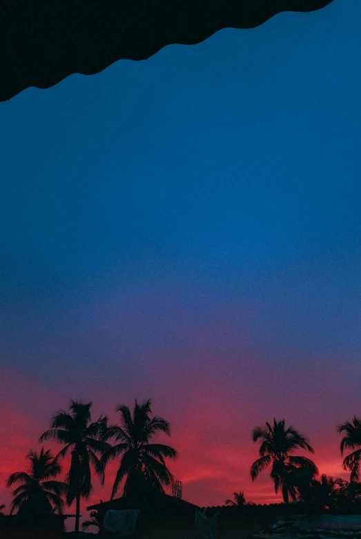 a sunset view of a beach with palm trees, an album cover, unsplash, aestheticism, prussian blue and venetian red, hawaii, red blue, joel meyerowitz