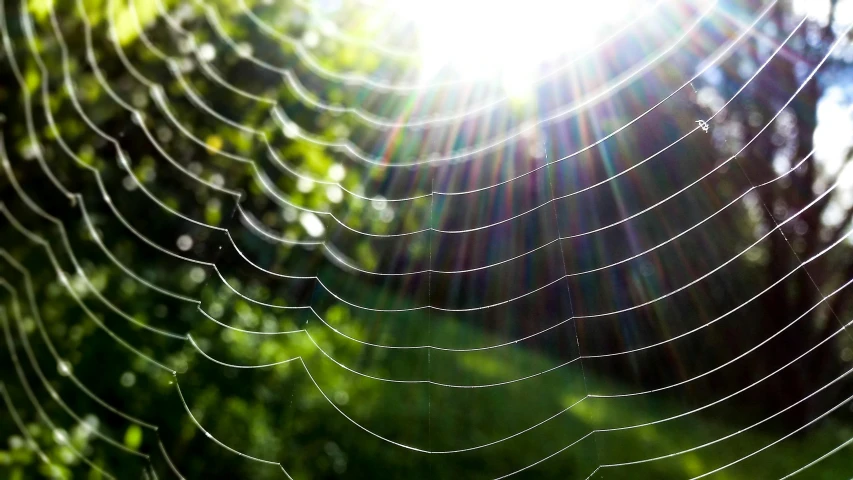 a spider web with the sun shining through it, inspired by Gabriel Dawe, net art, paul barson, multicoloured