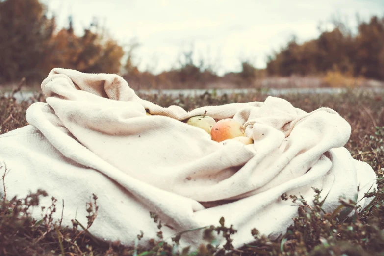 a blanket sitting on top of a lush green field, a still life, unsplash, apples on the ground, vintage photo, autumnal, curled up under the covers