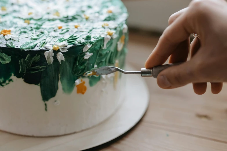 a close up of a person cutting a cake, by Emma Andijewska, trending on pexels, hyperrealism, green and white, spatula, decoration, tall