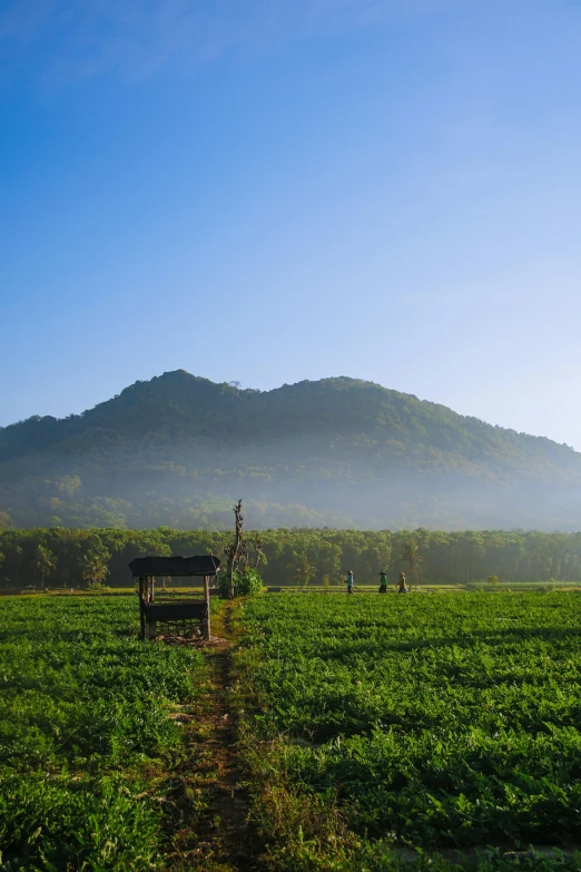 a bench sitting in the middle of a field