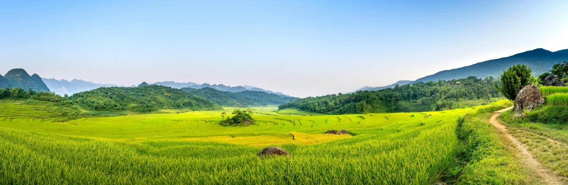 a green field with mountains in the background, by Jang Seung-eop, pexels contest winner, ao dai, some yellow green and blue, panoramic, guangjian