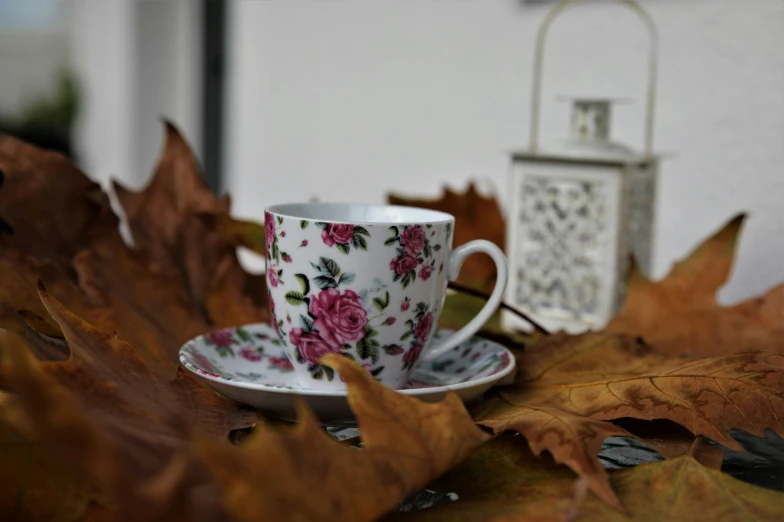 a cup and saucer sitting on top of a leaf covered table, inspired by Annie Rose Laing, pexels contest winner, square, rose-brambles, during autumn, patterned