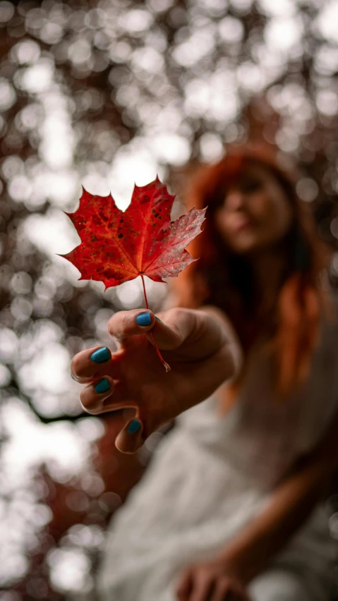 a woman holding a red leaf in her hand, an album cover, pexels contest winner, 15081959 21121991 01012000 4k, thumbnail, maple tree, medium format