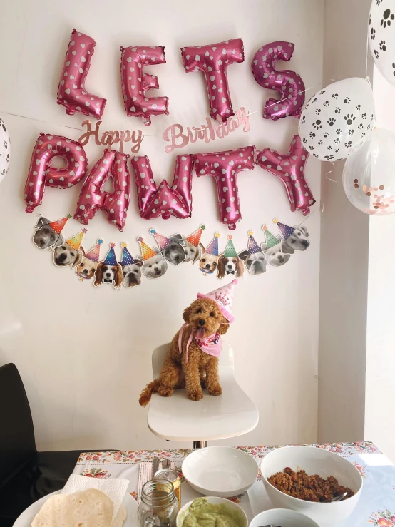 a table topped with plates and bowls of food, a cartoon, cat dog teddy mix, baloons, profile image, flatlay