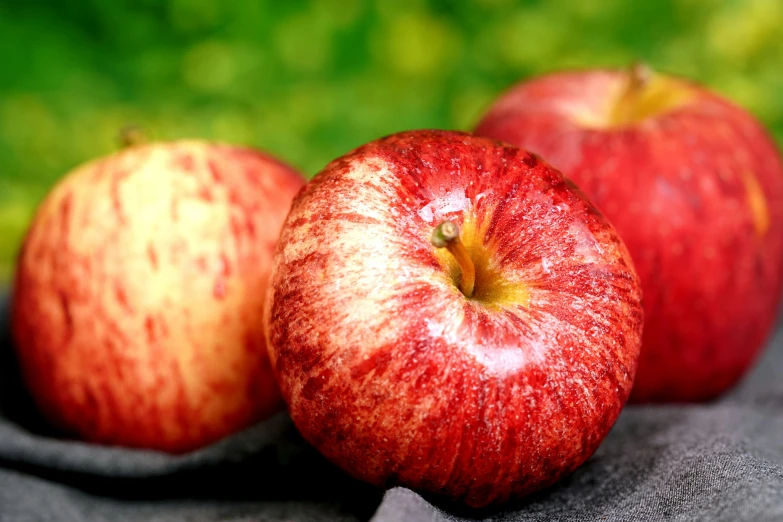 two apples sitting next to each other on a cloth, a stipple, by Julia Pishtar, pexels, smooth red skin, outdoor photo, 6 pack, performing