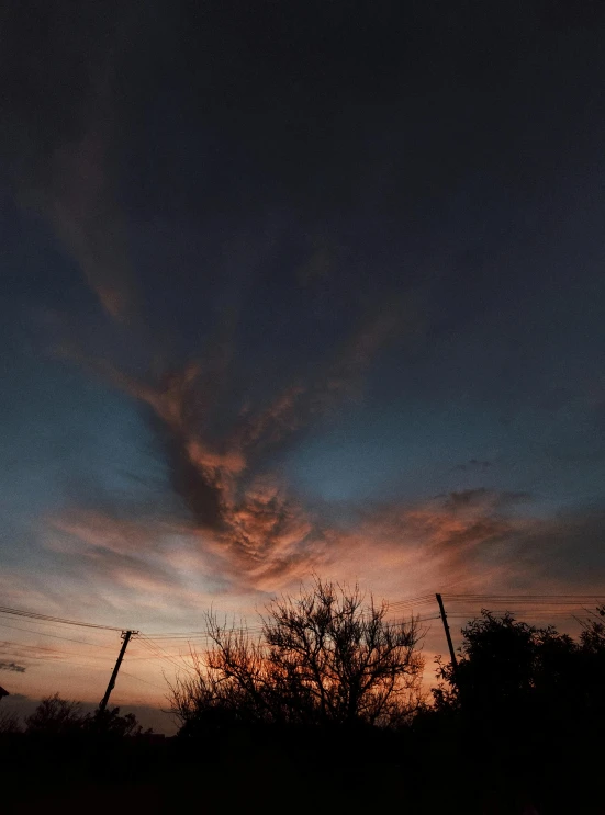 a bird flying in the air during a sunset