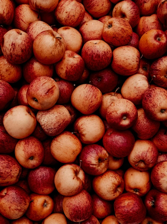 a pile of apples sitting on top of each other, by Nina Hamnett, unsplash, process art, 2 5 6 x 2 5 6 pixels, vietnam, red round nose, juice