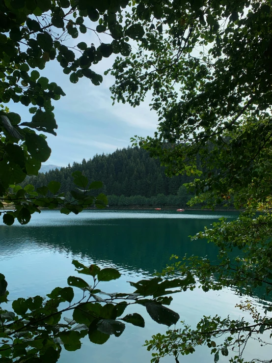 a large body of water surrounded by trees, slovenian, # nofilter, amazingly composed image