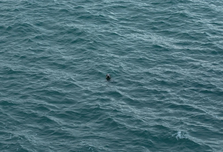 a man riding a surfboard on top of a large ocean