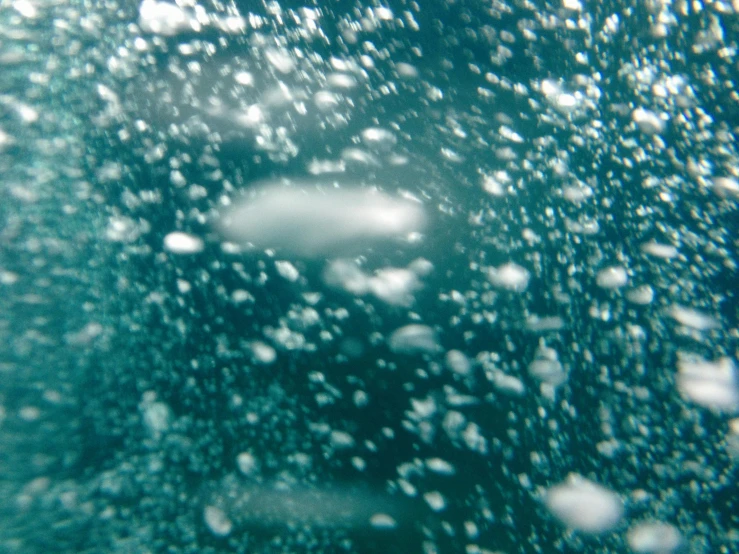 a large amount of bubbles in the water, a picture, by Tony Tuckson, underwater polaroid photo, snow flurry, floating. greenish blue, inside an underwater train