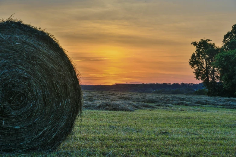 a hay bale sitting on top of a lush green field, pexels contest winner, land art, sunset panorama, in louisiana, round-cropped, ad image