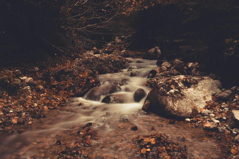 a stream of water tumbling into rocks and autumn leaves