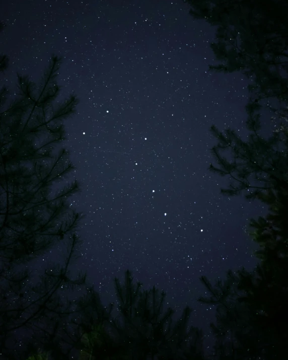 a night sky with stars and trees in the foreground, unsplash, slightly pixelated, paul barson, epiphany, low quality photo