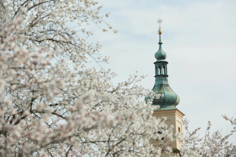 a clock tower on top of a building surrounded by trees, a picture, by Adam Marczyński, baroque, white blossoms, full frame image, lead - covered spire, conde nast traveler photo