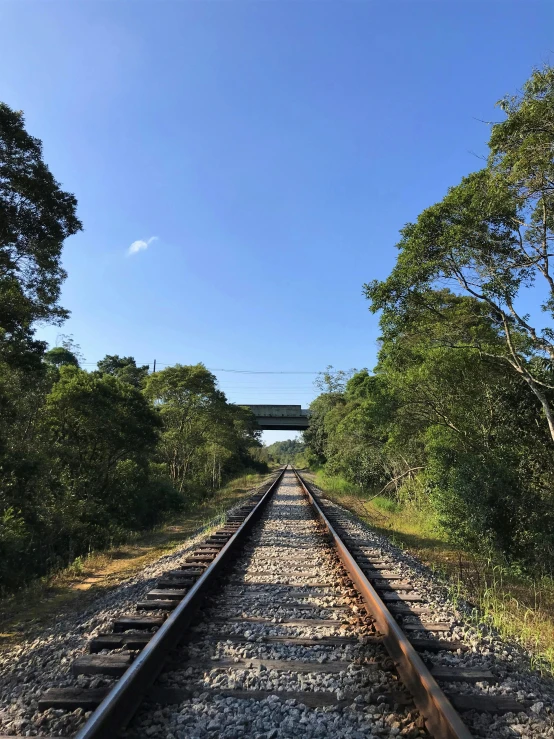 a train track surrounded by trees on a sunny day, set on singaporean aesthetic, journalism photo, são paulo, 🚿🗝📝