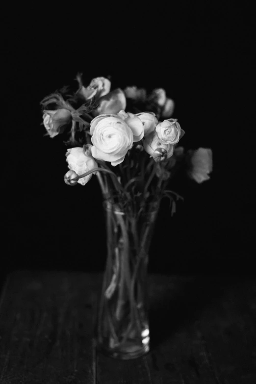 a black and white pograph of roses in a glass vase