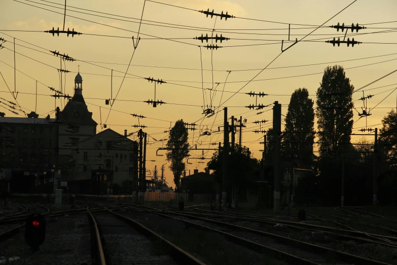 many wires are above the buildings with trees