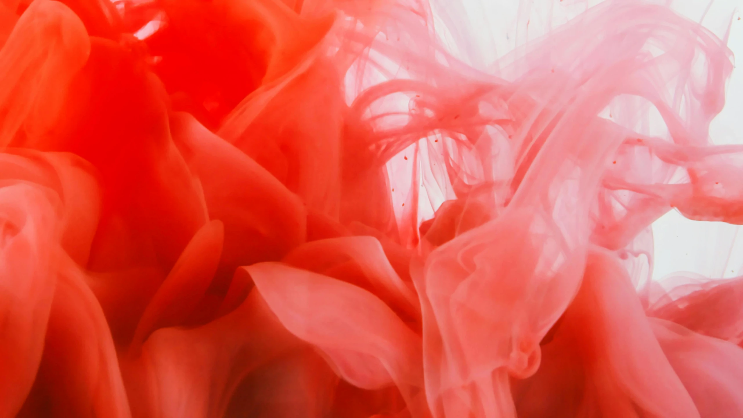 a close up of a red substance in water, inspired by Kim Keever, pexels contest winner, james jean and petra cortright, flowing salmon-colored silk, smoke filled room, red and white neon