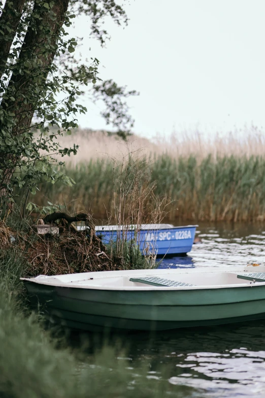 a small boat sitting on top of a body of water, reeds, outdoors, as well as scratches, outdoor