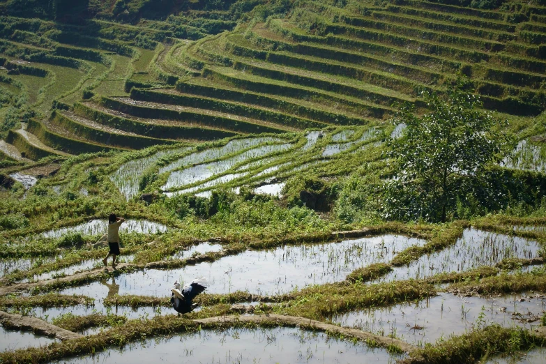 a couple of men work on a field