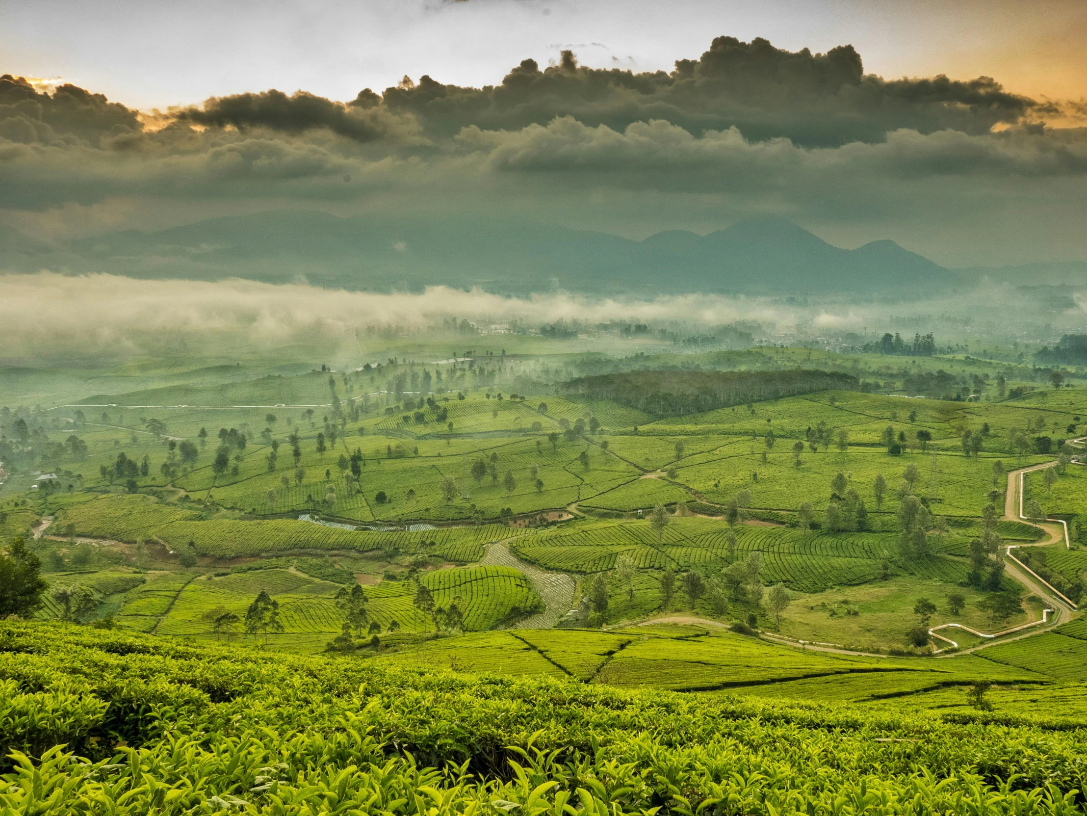 a hilly countryside is seen in this very colorful picture