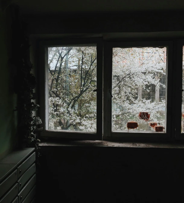 a cat sitting on a window sill in a dark room, a picture, inspired by Elsa Bleda, cherry blossom trees, (3 are winter, soviet interior, 35mm —w 1920 —h 1080