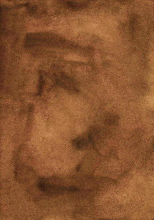 a close up of a painting of a man's face, an album cover, reddit, tonalism, coffee stain, high resolution scan, klee, brown fur