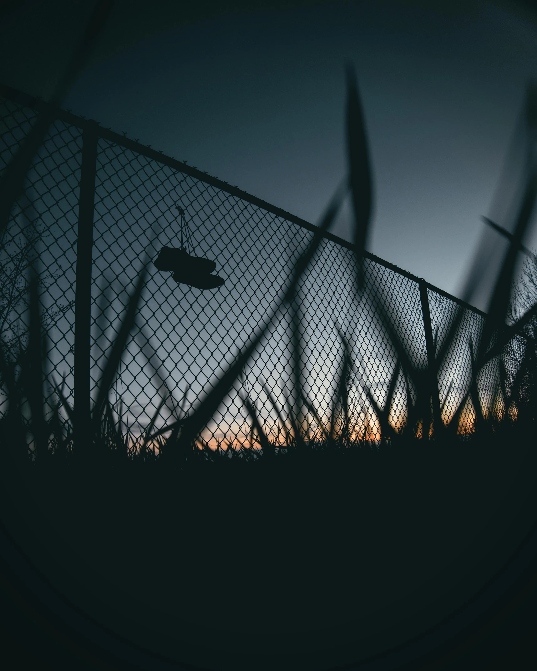 a shoe that is sitting in the grass, a picture, inspired by Elsa Bleda, unsplash contest winner, graffiti, cages, dusk sky, fencing, hedge