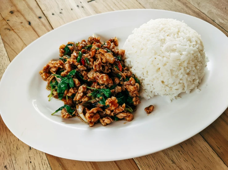 a white plate topped with rice and meat, by Carey Morris, pexels contest winner, basil leaves instead of leaves, 🦩🪐🐞👩🏻🦳, sloppy, on a wooden desk