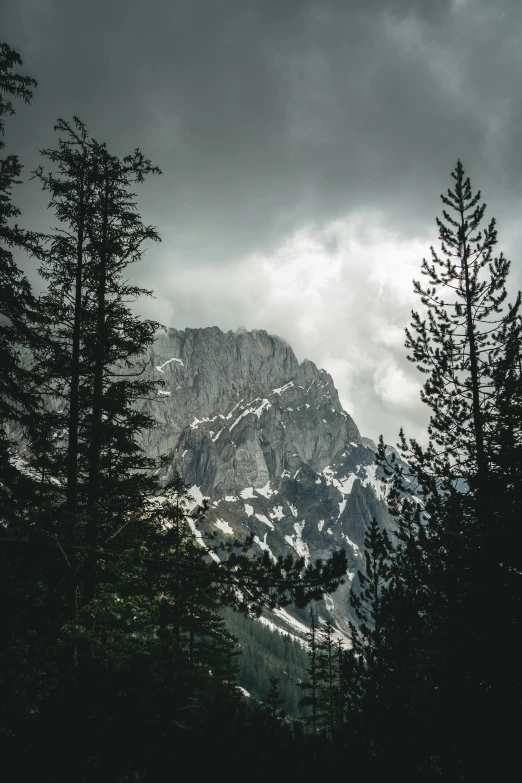 a black and white photo of a snow covered mountain, by Matthias Weischer, unsplash contest winner, against the backdrop of trees, moody colors, overcast lighting, over the tree tops