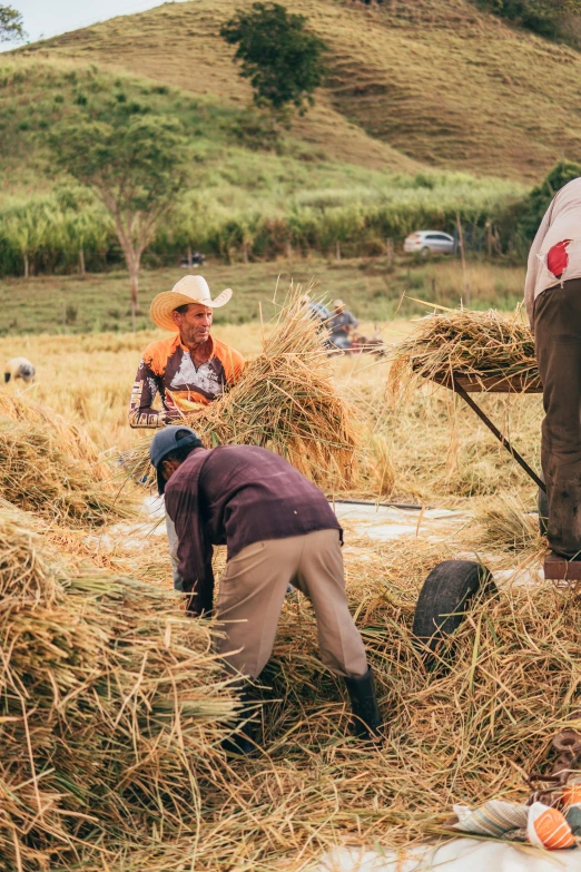 people are in the grass with a pile of straw