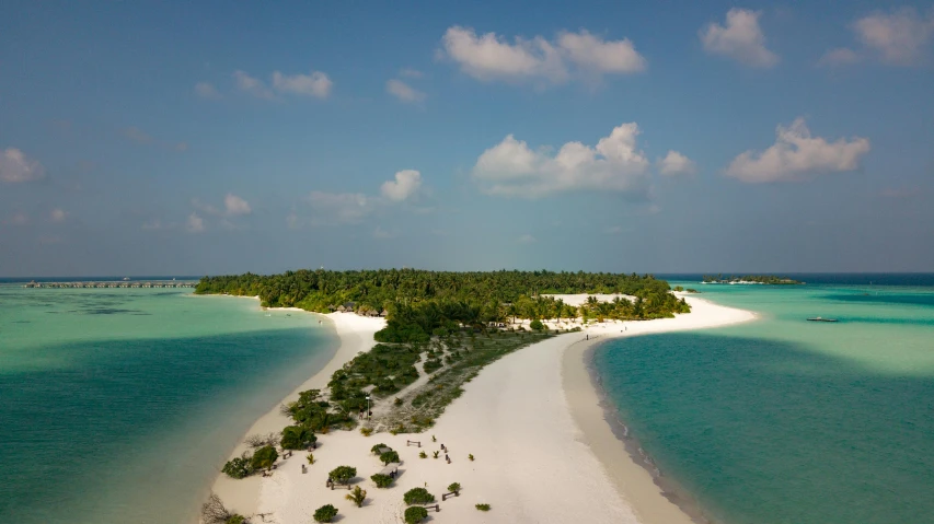 an aerial view of the beach with trees and water