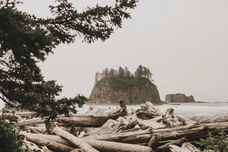 a couple of people are standing on rocks near some trees