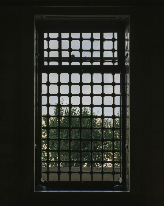 a window covered with grids in front of trees