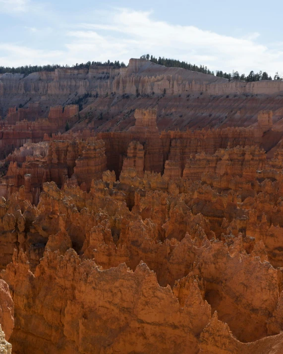 large rocky landscape with a patch of tree in the middle