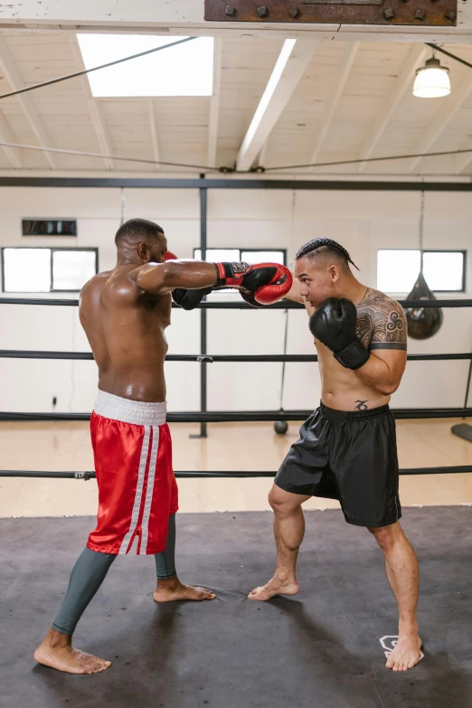 two male boxers in the ring, one with his hand on a boxing gloves