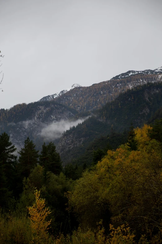 an expansive mountain with trees and mountains in the background