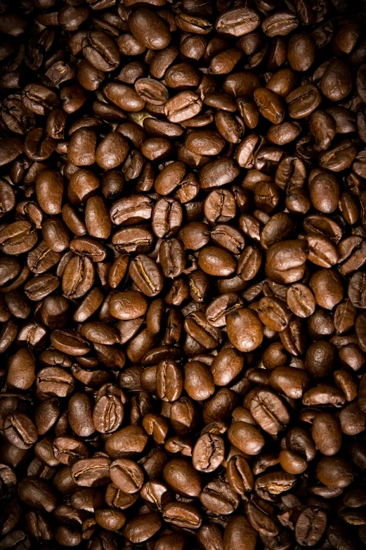 coffee beans are shown in this picture