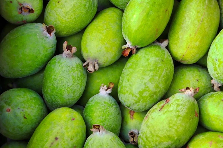 a pile of green fruit, including pears