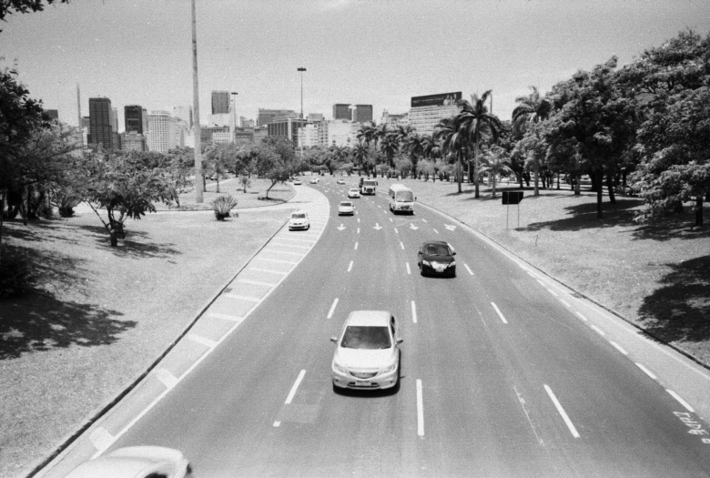 cars driving down a road surrounded by palm trees