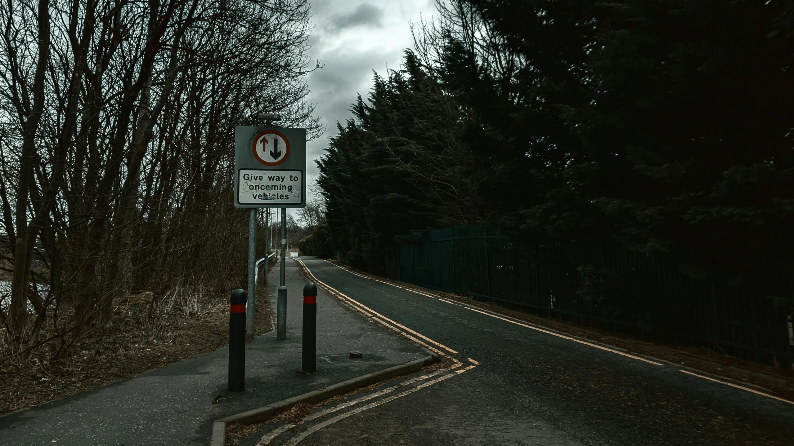 a dark road with an over head view of some trees