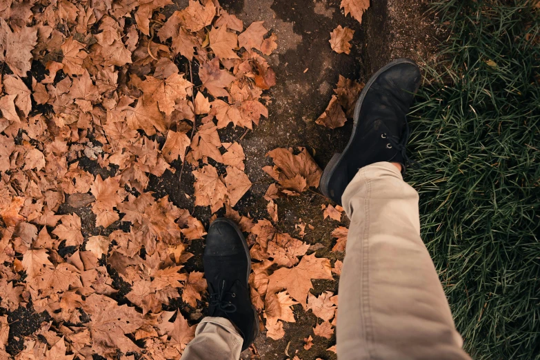 someone standing on the ground next to leaves