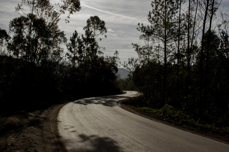 a road in the woods with trees