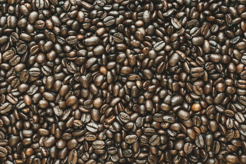 a close up image of coffee beans