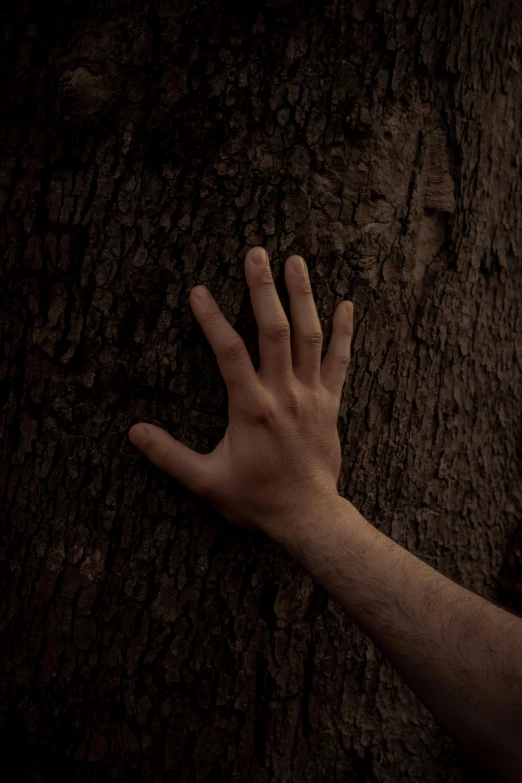 a hand reaching for a hand that is touching a tree