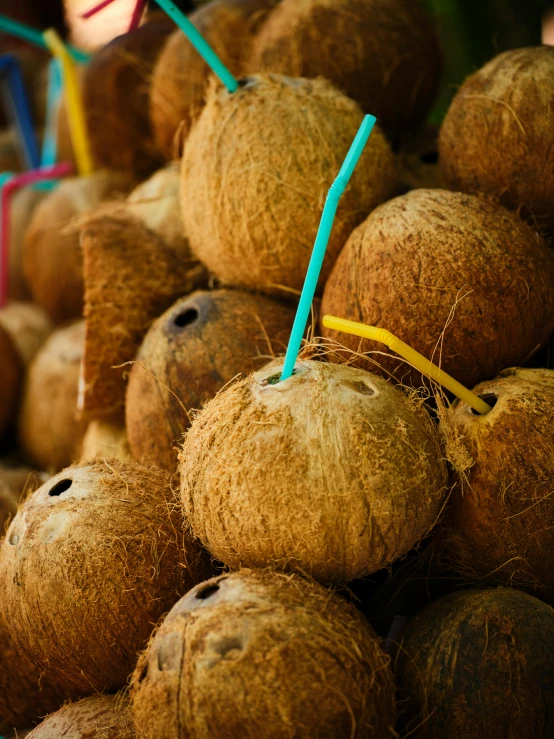 a pile of coconuts with twine straws in them