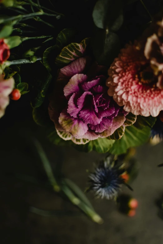 a group of large colorful flowers on top of a table