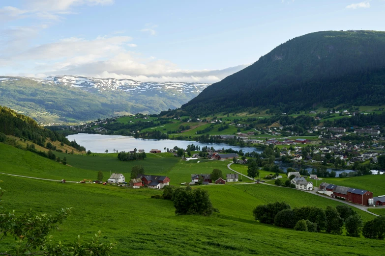 a lush green hillside next to a large lake and a town