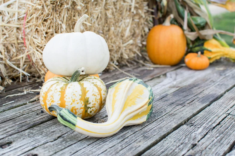 pumpkins and gourds are sitting on the wooden surface